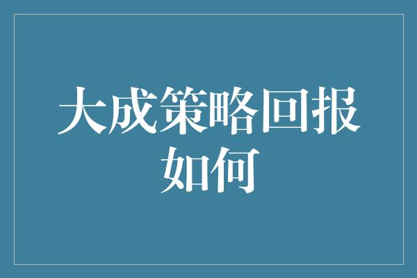 大成策略回报如何