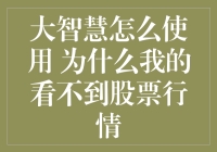 如何玩转大智慧？解决股票行情失踪难题！