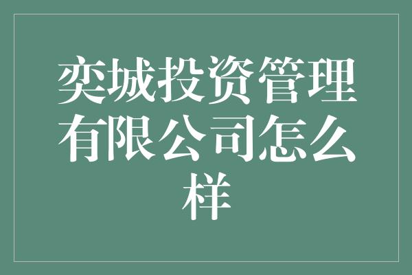 奕城投资管理有限公司怎么样