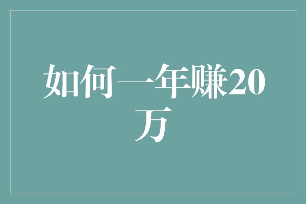 如何一年赚20万