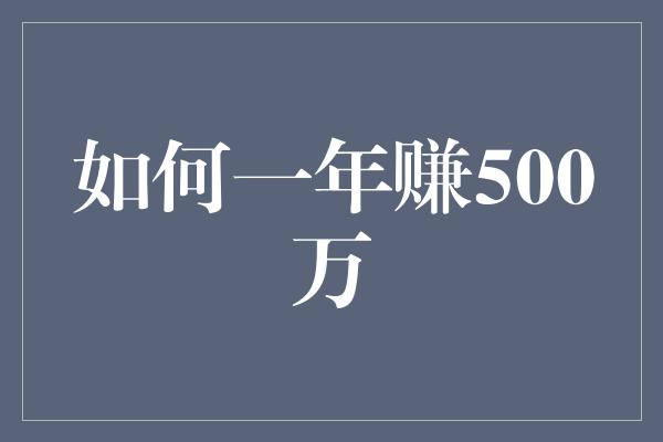 如何一年赚500万