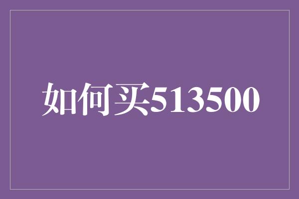 如何买513500