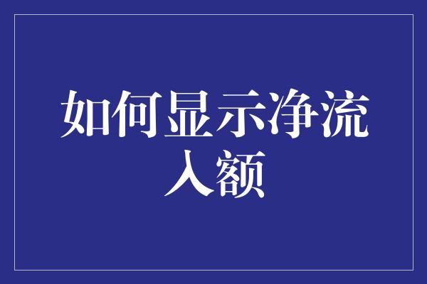 如何显示净流入额