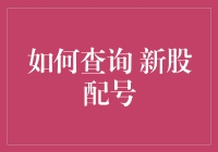 新股配号查询攻略：从新手到老手的华丽转变