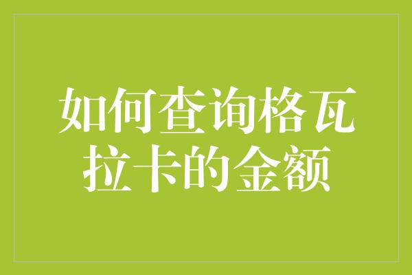 如何查询格瓦拉卡的金额