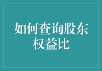 如何查询股东权益比：解锁财务分析的关键密码