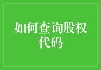 如何查询股权代码：深入解析与实用策略