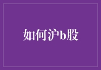 沪B股投资全解析：提升海外投资者收益与风险管控策略