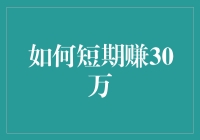 解析与策略：如何在短期内赚取30万元