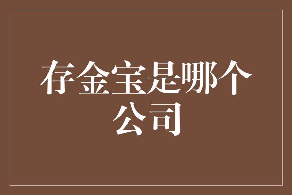 存金宝是哪个公司