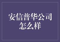 安信普华公司深度解析：数字时代的创新导航者