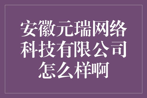 安徽元瑞网络科技有限公司怎么样啊