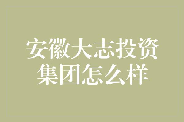 安徽大志投资集团怎么样