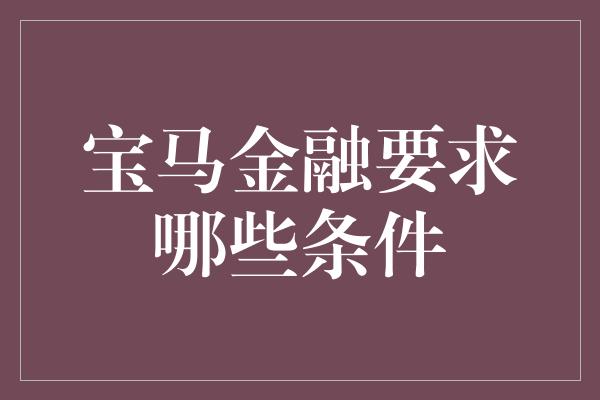 宝马金融要求哪些条件