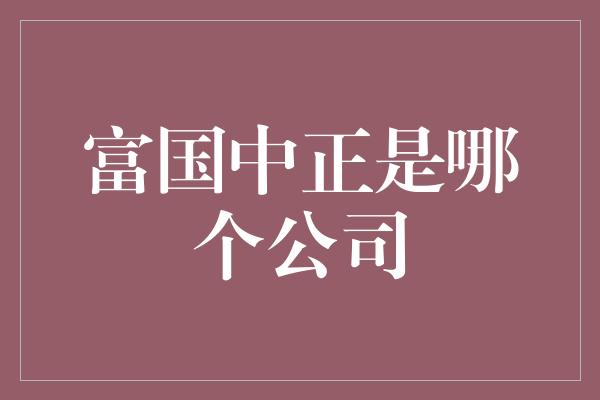 富国中正是哪个公司