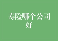 寿险市场中的佼佼者：如何选择最佳保险公司