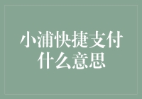 小浦快捷支付：江湖高手的破财秘籍