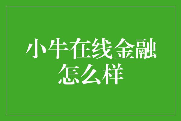 小牛在线金融怎么样