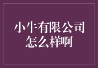 小牛有限公司：新兴力量还是明日黄花？