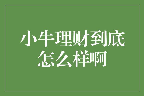 小牛理财到底怎么样啊