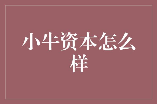 小牛资本怎么样