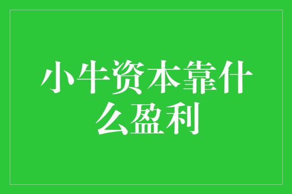 小牛资本靠什么盈利