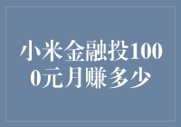 小米金融投1000元，月赚多少：全方位解析