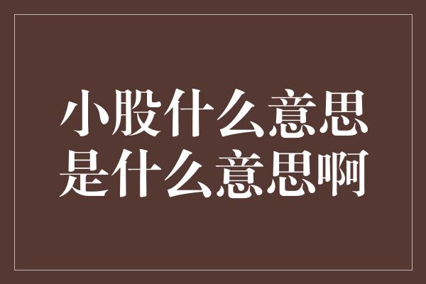 小股什么意思是什么意思啊