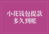 小花钱包提款到账速度解析：影响因素与优化策略