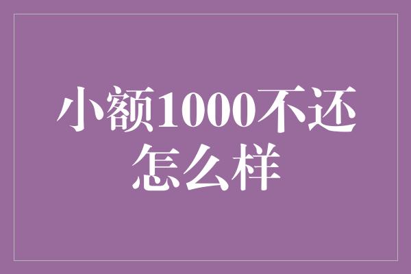 小额1000不还怎么样