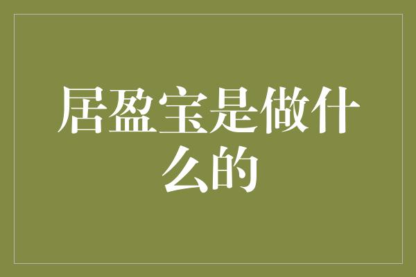 居盈宝是做什么的