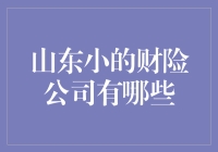 山东那些险象环生的小财险公司，你造吗？