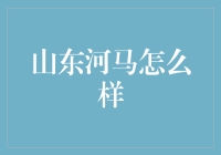 山东河马：理财新宠还是投资陷阱？