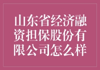 山东省经济融资担保股份有限公司：为你的钱包添砖加瓦，还能顺便给你加点钙！