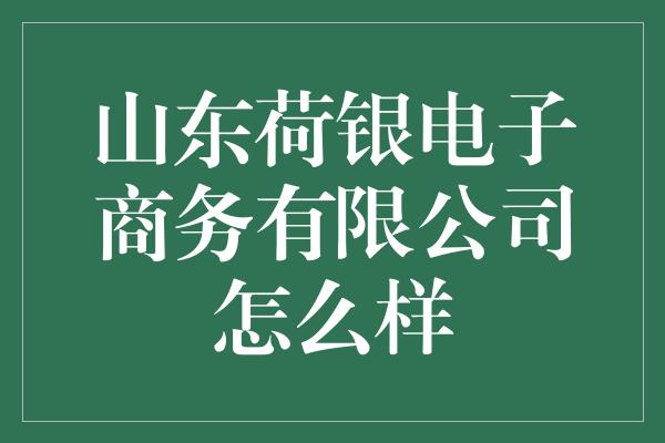 山东荷银电子商务有限公司怎么样