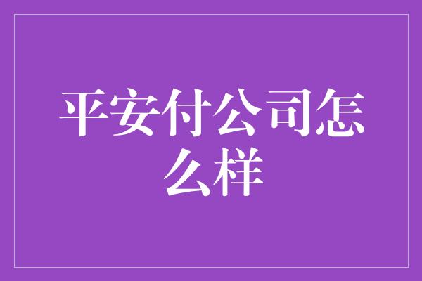 平安付公司怎么样