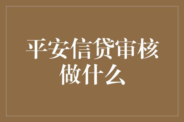 平安信贷审核做什么