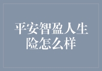 平安智盈人生险: 倾听生命的声音，智慧选择未来