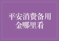 平安消费备用金怎么看？本文带你一探究竟！