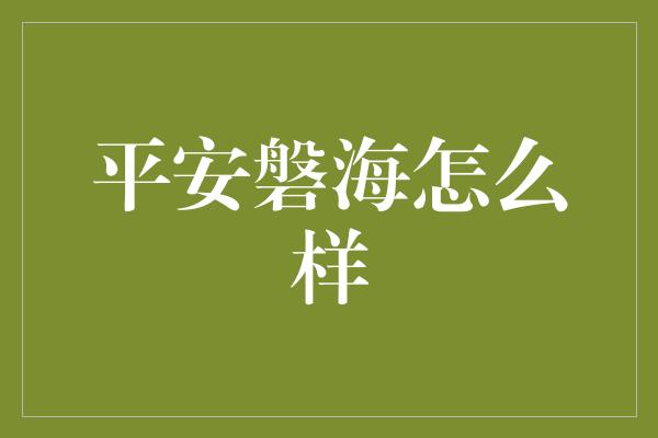 平安磐海怎么样