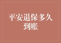 退保到账时间指南：如何在平安保险公司玩转速度与激情