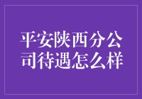 平安陕西分公司待遇探秘：一份详尽调查报告