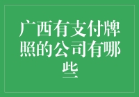 广西自治区内持有支付牌照的公司概览