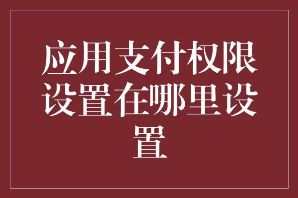 应用支付权限设置在哪里设置