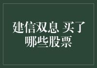 揭秘建信双息投资组合：探寻其股票投资策略