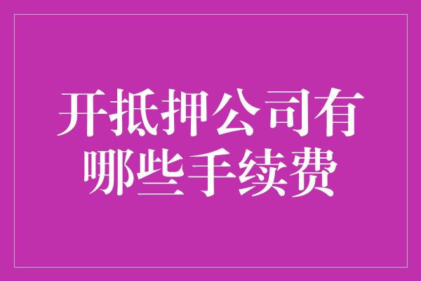 开抵押公司有哪些手续费