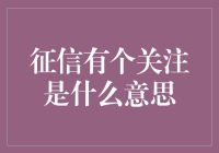 征信报告中的关注标记：信用管理的新视角