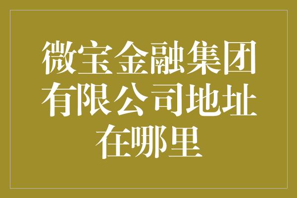 微宝金融集团有限公司地址在哪里