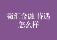 从微到巨：微汇金融的另类待遇评测