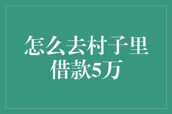 怎么去村子里借款5万